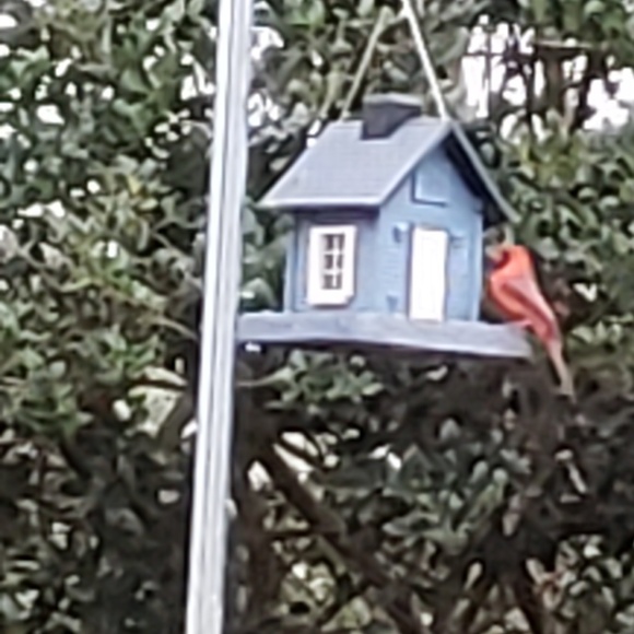 Meet your Posher, L - Picture 1 of 1